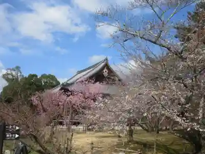 仁和寺(京都府)