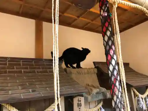 王子神社の動物