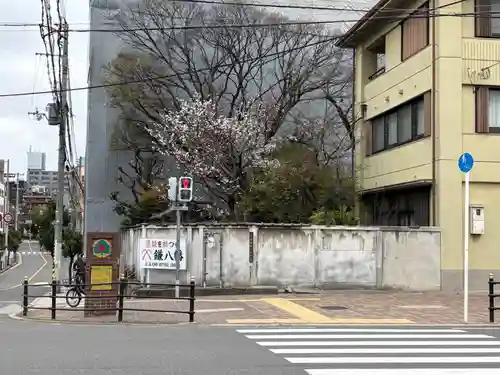 円珠庵（鎌八幡）(大阪府)