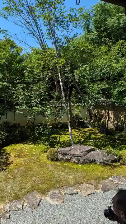 東林院(京都府)