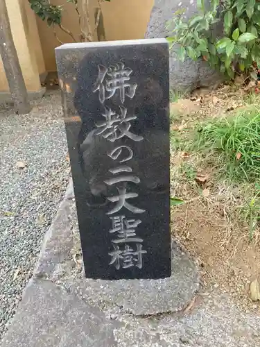 眼蔵寺(神奈川県)