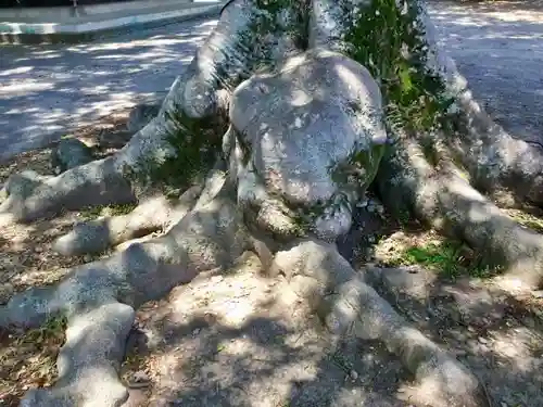 多賀神社の自然
