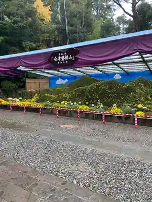 彌彦神社(新潟県)