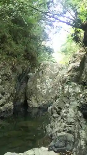 元伊勢天岩戸神社の自然