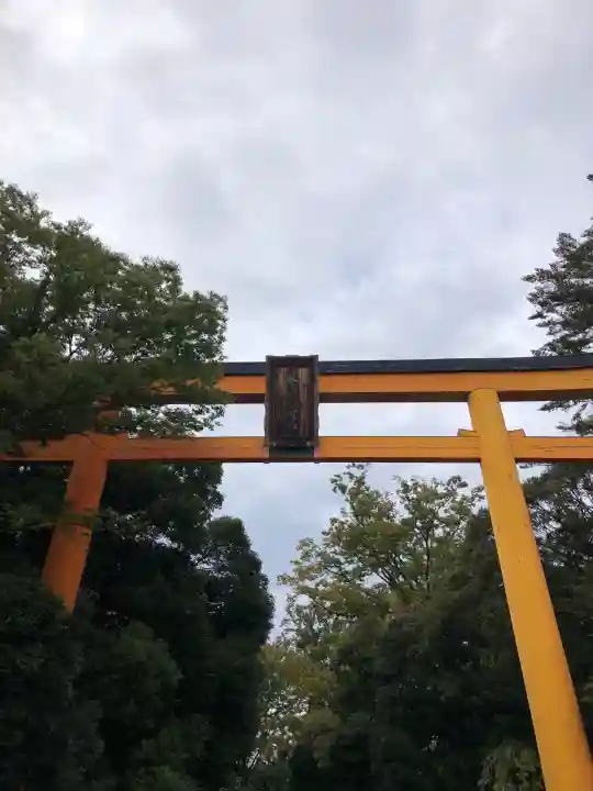 川越氷川神社の{uncategorized: "未分類", other: "その他", undefined: "問題あり", building: "その他建物", grave: "お墓", sacred_gate: "鳥居", guardian: "狛犬", statue: "像", buddha: "仏像", history: "歴史", nature: "自然", garden: "庭園", animal: "動物", pagoda: "塔", temizu: "手水舎", mountain_gate: "山門・神門", sanctuary: "本殿・本堂", subordinate: "末社・摂社", art: "芸術", scenery: "景色", jizo: "地蔵", ema: "絵馬", goshuin: "御朱印", omikuji: "おみくじ", items: "授与品その他", amulet: "お守り", goshuincho: "御朱印帳", eats: "食事", festival: "お祭り", votive_dance: "神楽", shichigosan: "七五三参", wedding: "結婚式", experience: "体験その他", initially: "初詣", around: "周辺", anti_infection: "感染症対策"}