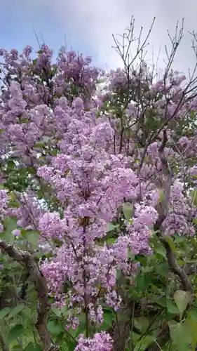 相馬神社(北海道)