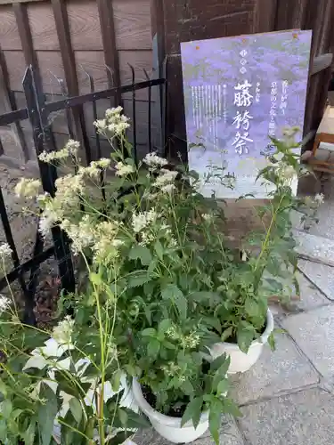 行願寺（革堂）(京都府)