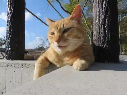 熊野若王子神社(京都府)
