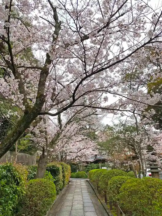 興正寺別院(本山興正寺霊山本廟)の自然