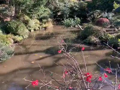 龍寳寺（龍宝寺）(神奈川県)
