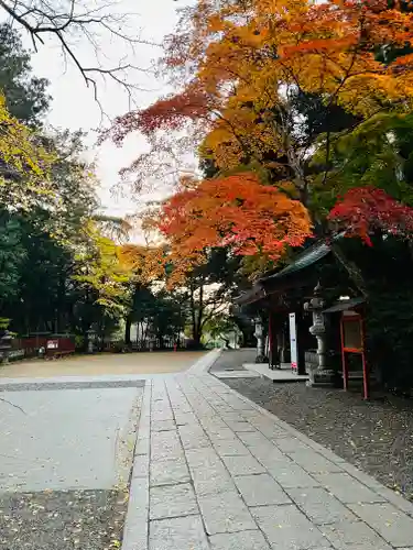 香取神宮(千葉県)