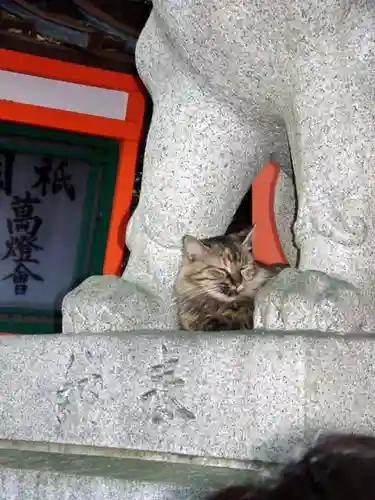 八坂神社(祇園さん)の動物