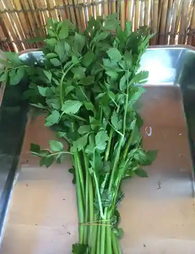 国宝 大法寺のその他建物