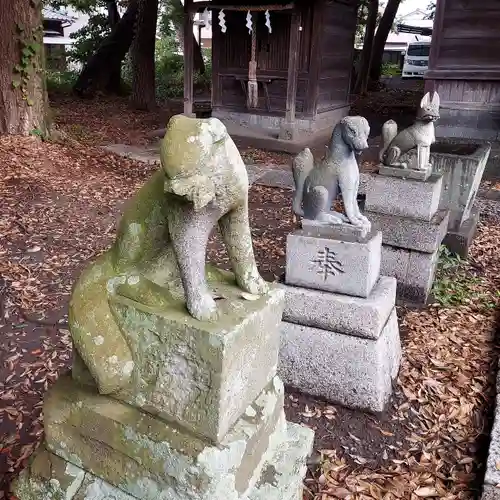 美濃輪稲荷神社の狛犬