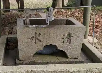 白山神社の{uncategorized: "未分類", other: "その他", undefined: "問題あり", building: "その他建物", grave: "お墓", sacred_gate: "鳥居", guardian: "狛犬", statue: "像", buddha: "仏像", history: "歴史", nature: "自然", garden: "庭園", animal: "動物", pagoda: "塔", temizu: "手水舎", mountain_gate: "山門・神門", sanctuary: "本殿・本堂", subordinate: "末社・摂社", art: "芸術", scenery: "景色", jizo: "地蔵", ema: "絵馬", goshuin: "御朱印", omikuji: "おみくじ", items: "授与品その他", amulet: "お守り", goshuincho: "御朱印帳", eats: "食事", festival: "お祭り", votive_dance: "神楽", shichigosan: "七五三参", wedding: "結婚式", experience: "体験その他", initially: "初詣", around: "周辺", anti_infection: "感染症対策"}