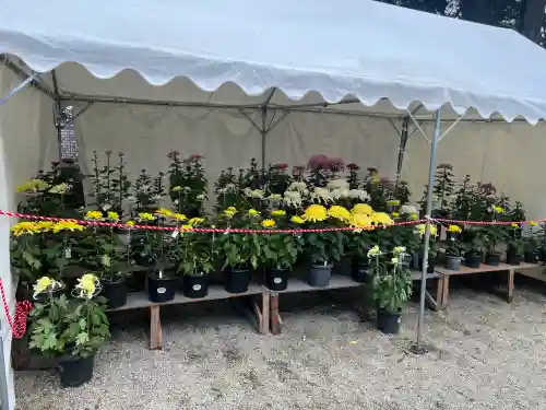 那須神社(栃木県)