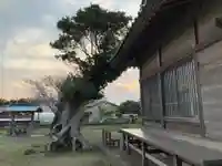 中里八坂神社のその他建物
