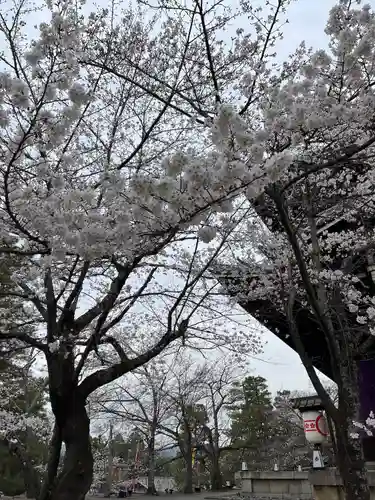 知恩院(京都府)
