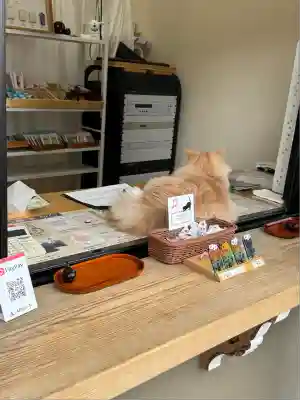 駒込妙義神社(東京都)