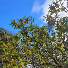 賀茂御祖神社（下鴨神社）(京都府)