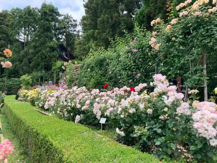 霊山寺(奈良県)