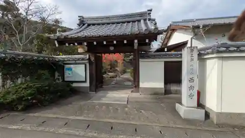 西向寺(京都府)