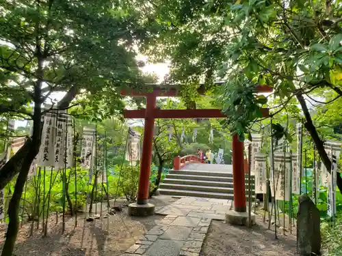 鶴岡八幡宮の鳥居