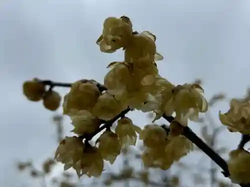 宝登山神社奥宮の{uncategorized: "未分類", other: "その他", undefined: "問題あり", building: "その他建物", grave: "お墓", sacred_gate: "鳥居", guardian: "狛犬", statue: "像", buddha: "仏像", history: "歴史", nature: "自然", garden: "庭園", animal: "動物", pagoda: "塔", temizu: "手水舎", mountain_gate: "山門・神門", sanctuary: "本殿・本堂", subordinate: "末社・摂社", art: "芸術", scenery: "景色", jizo: "地蔵", ema: "絵馬", goshuin: "御朱印", omikuji: "おみくじ", items: "授与品その他", amulet: "お守り", goshuincho: "御朱印帳", eats: "食事", festival: "お祭り", votive_dance: "神楽", shichigosan: "七五三参", wedding: "結婚式", experience: "体験その他", initially: "初詣", around: "周辺", anti_infection: "感染症対策"}