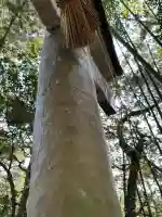 宿努神社の{uncategorized: "未分類", other: "その他", undefined: "問題あり", building: "その他建物", grave: "お墓", sacred_gate: "鳥居", guardian: "狛犬", statue: "像", buddha: "仏像", history: "歴史", nature: "自然", garden: "庭園", animal: "動物", pagoda: "塔", temizu: "手水舎", mountain_gate: "山門・神門", sanctuary: "本殿・本堂", subordinate: "末社・摂社", art: "芸術", scenery: "景色", jizo: "地蔵", ema: "絵馬", goshuin: "御朱印", omikuji: "おみくじ", items: "授与品その他", amulet: "お守り", goshuincho: "御朱印帳", eats: "食事", festival: "お祭り", votive_dance: "神楽", shichigosan: "七五三参", wedding: "結婚式", experience: "体験その他", initially: "初詣", around: "周辺", anti_infection: "感染症対策"}