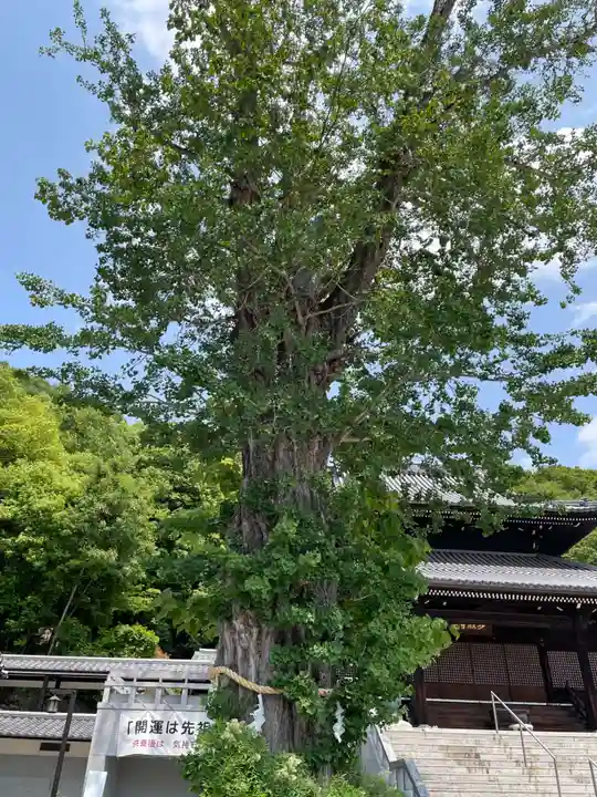 最上稲荷山妙教寺(岡山県)