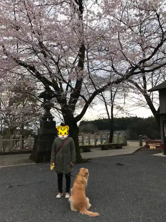 加茂別雷神社の動物