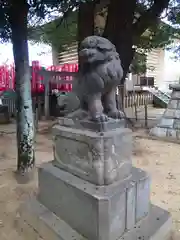 諏訪神社の狛犬