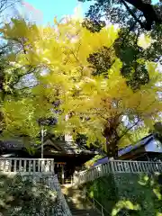 事任八幡宮の建物その他