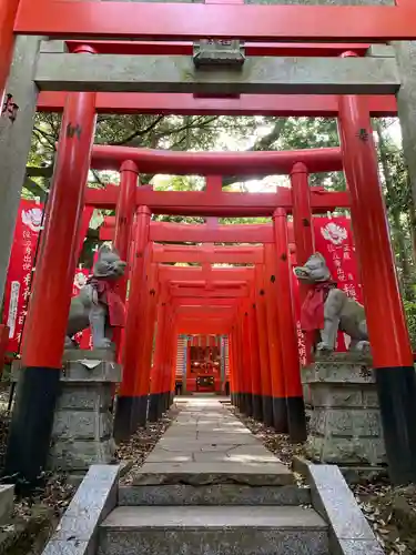 大杉神社の鳥居