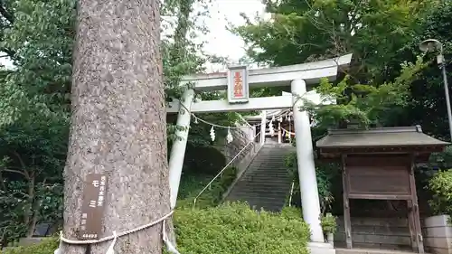 長津田王子神社の鳥居