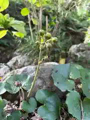 普門寺(切り絵御朱印発祥の寺)(愛知県)