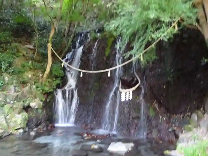 玉簾神社の自然