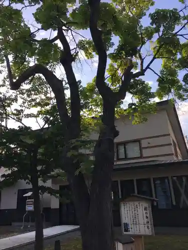 空知神社の自然