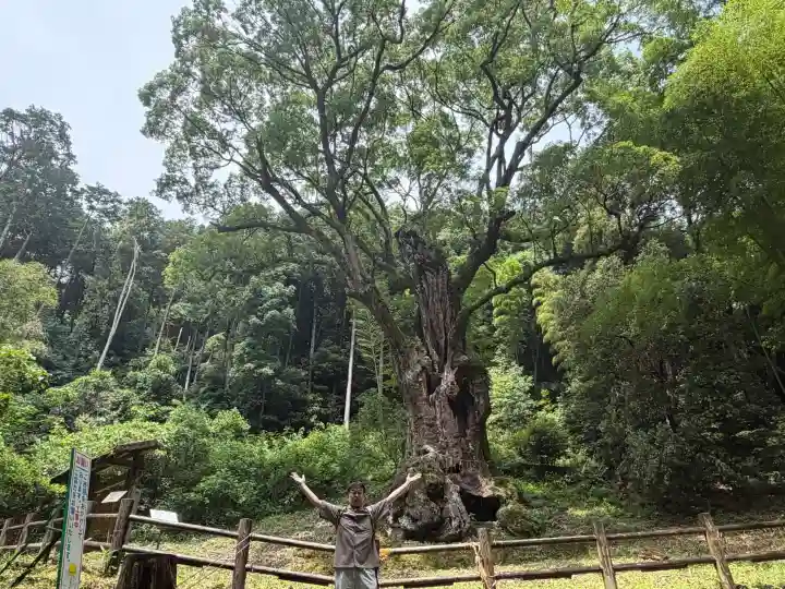 武雄神社(佐賀県)