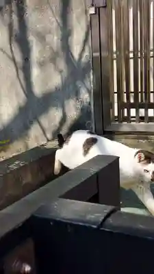 三嶋大社(静岡県)