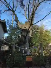 溝口神社(神奈川県)