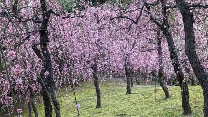 城南宮(京都府)