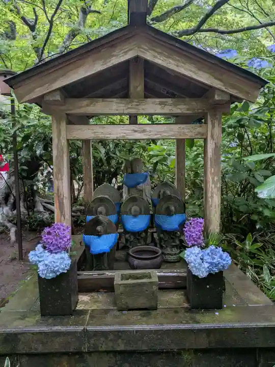 明月院(神奈川県)