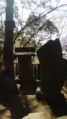 妙福寺の自然