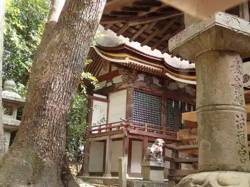 和爾下神社の本殿