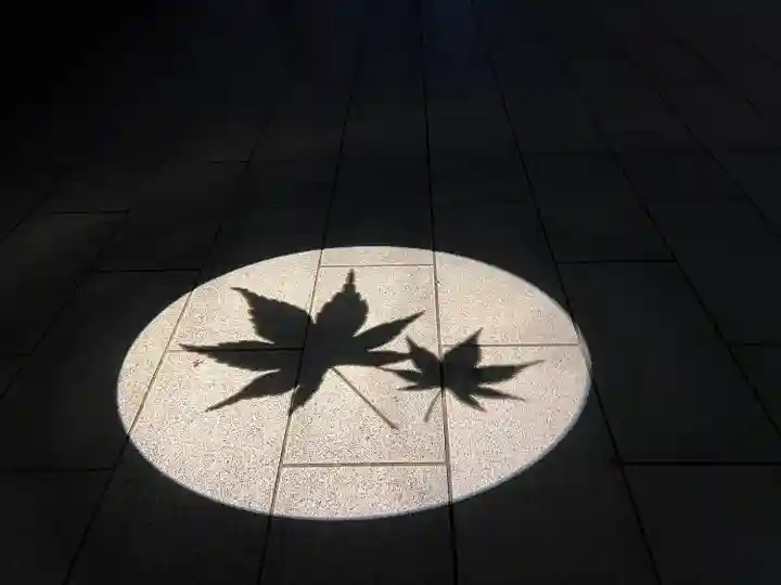 伏見稲荷大社(京都府)