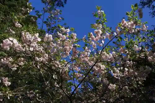 御札神社の自然