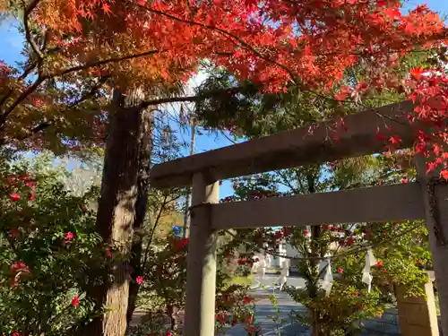 八幡神社の鳥居