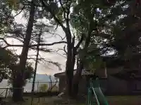 王子神社の{uncategorized: "未分類", other: "その他", undefined: "問題あり", building: "その他建物", grave: "お墓", sacred_gate: "鳥居", guardian: "狛犬", statue: "像", buddha: "仏像", history: "歴史", nature: "自然", garden: "庭園", animal: "動物", pagoda: "塔", temizu: "手水舎", mountain_gate: "山門・神門", sanctuary: "本殿・本堂", subordinate: "末社・摂社", art: "芸術", scenery: "景色", jizo: "地蔵", ema: "絵馬", goshuin: "御朱印", omikuji: "おみくじ", items: "授与品その他", amulet: "お守り", goshuincho: "御朱印帳", eats: "食事", festival: "お祭り", votive_dance: "神楽", shichigosan: "七五三参", wedding: "結婚式", experience: "体験その他", initially: "初詣", around: "周辺", anti_infection: "感染症対策"}