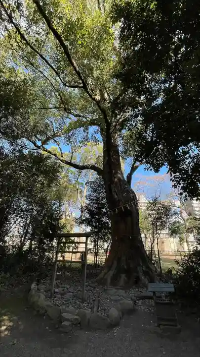 高座結御子神社(熱田神宮摂社)(愛知県)